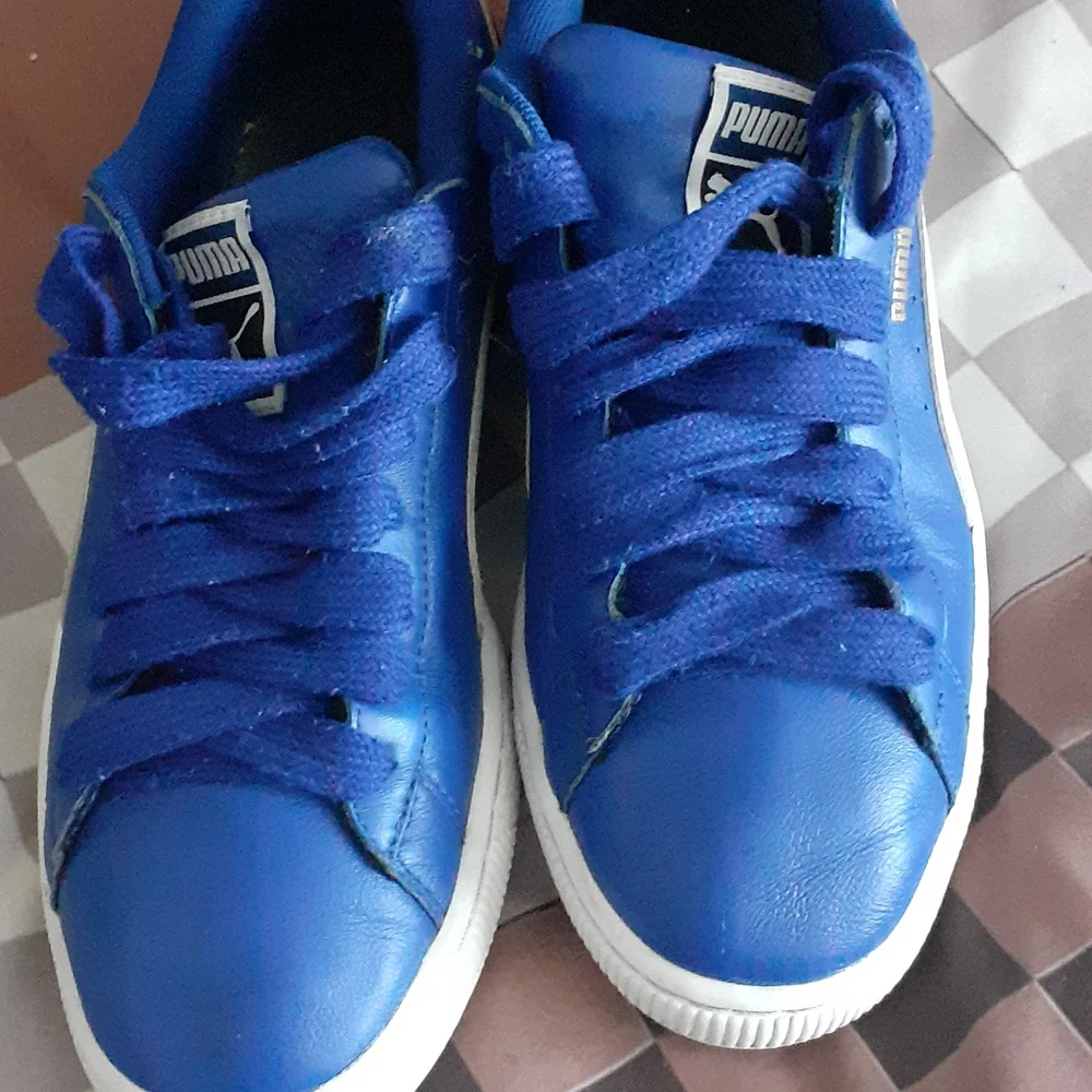 PUMAS  SIZE 7.5 Royle Blue. - Picture 2 of 5